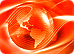 Authoring and Search